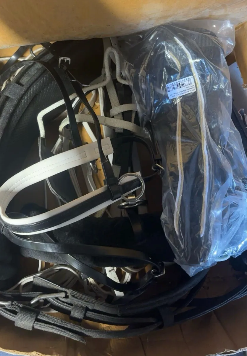 New set Elite harness - Image 2