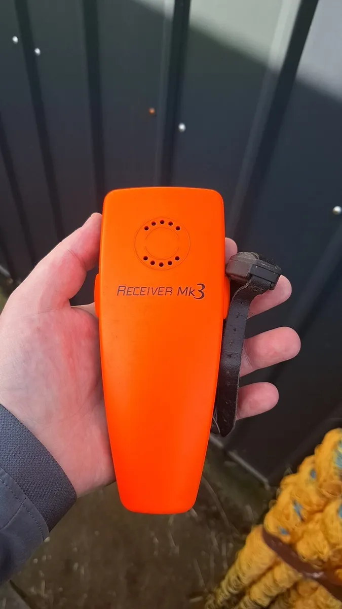 Ferret finder and gate nets - Image 1