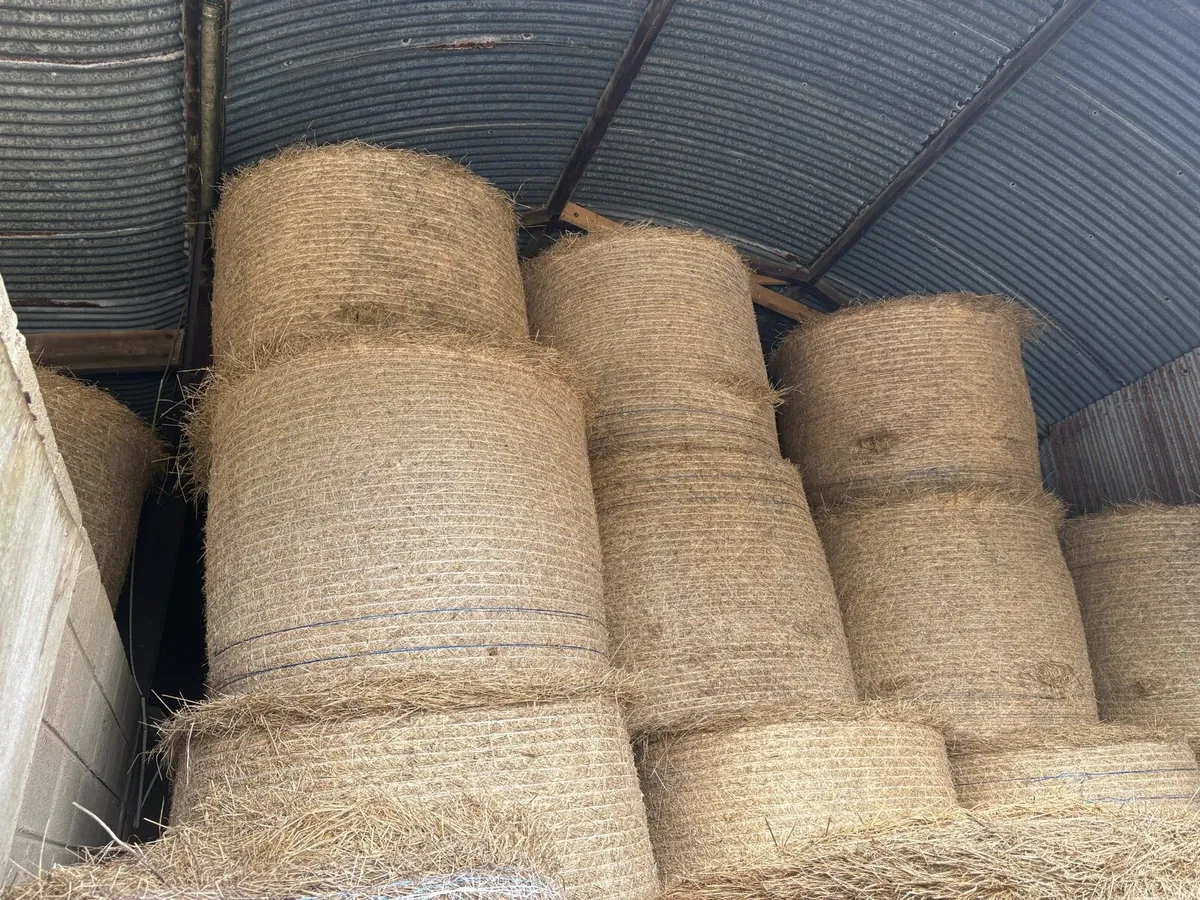 Well saved hay - Image 1