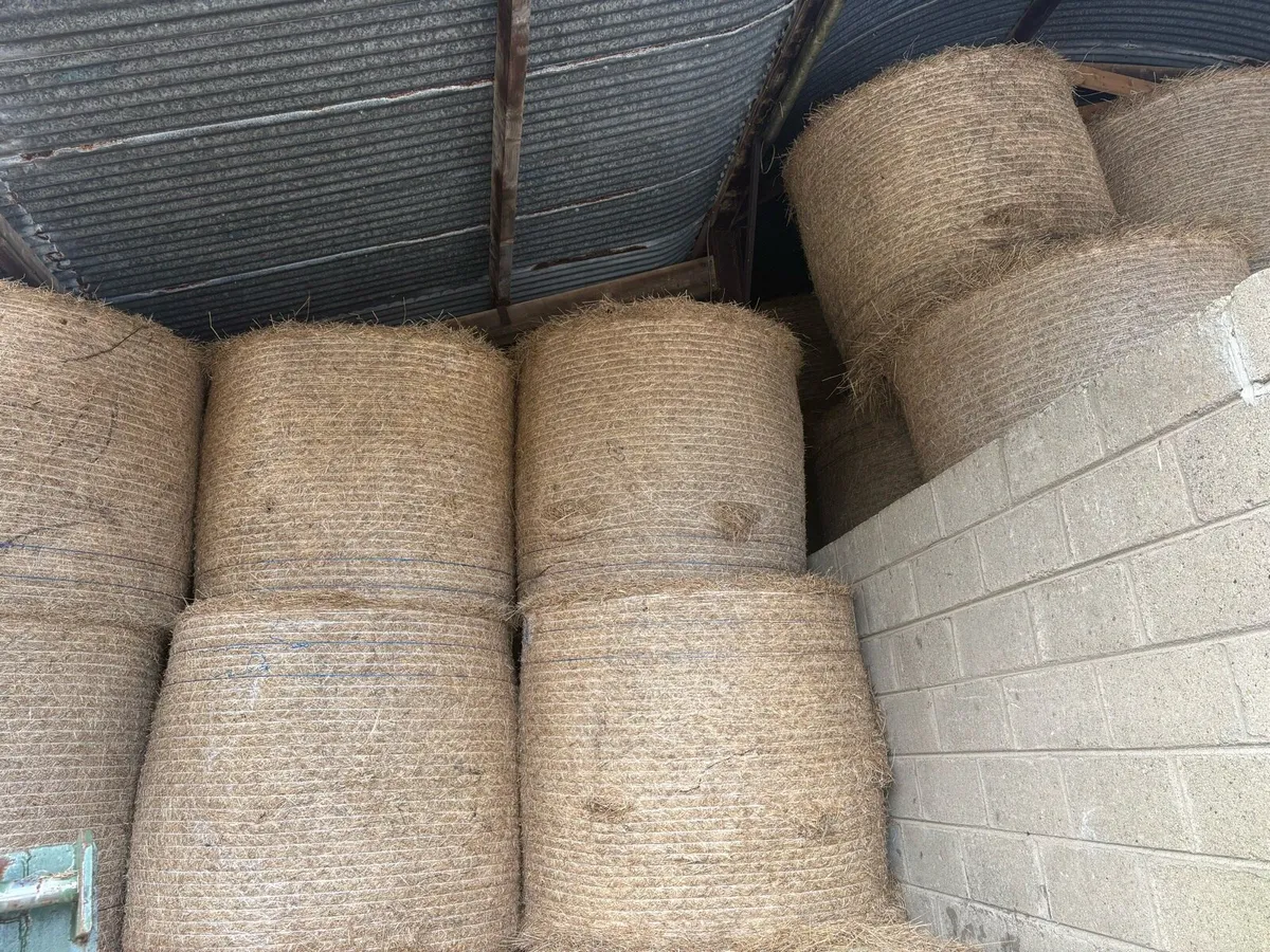 Well saved hay - Image 2