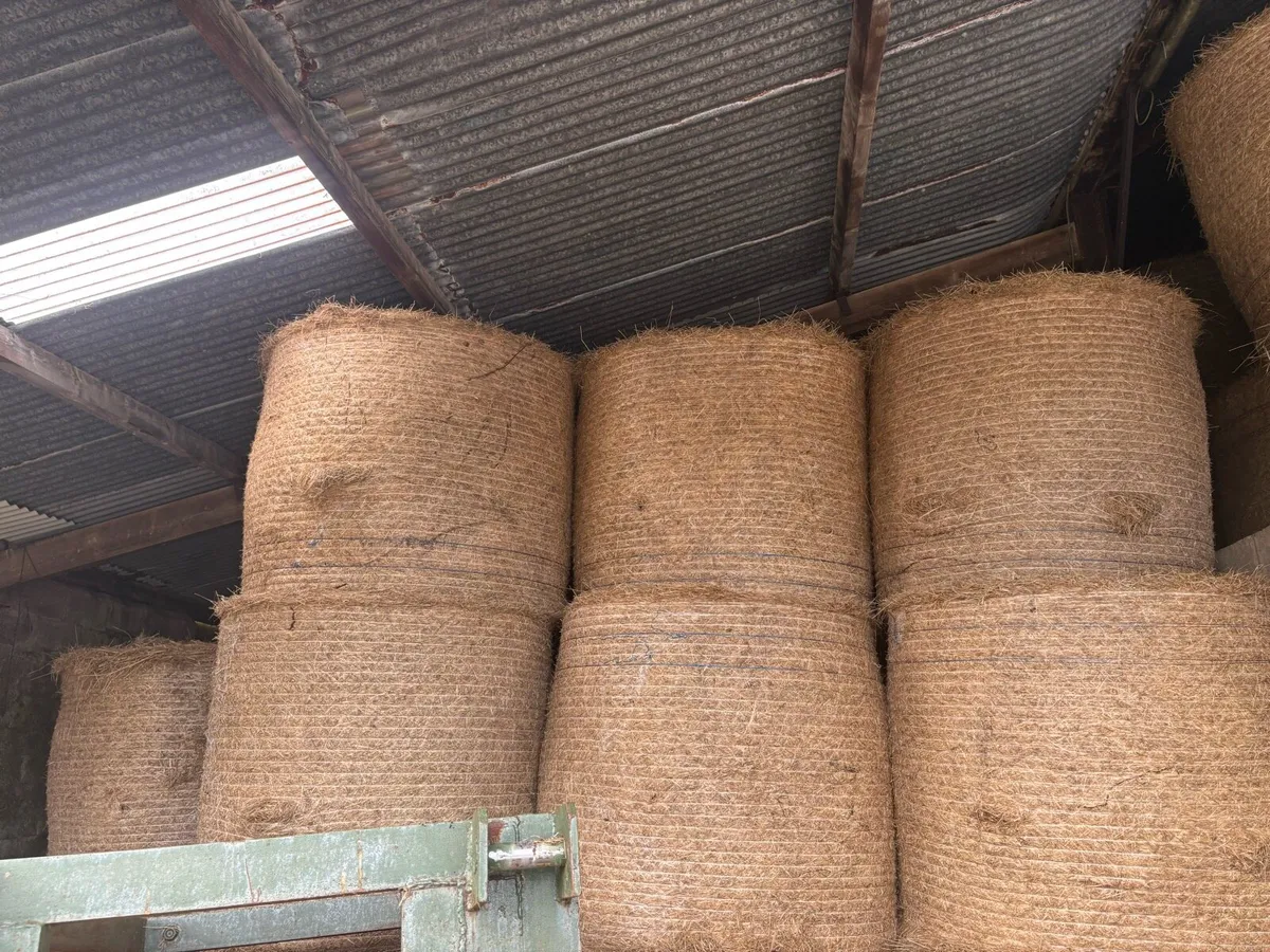 Well saved hay - Image 3