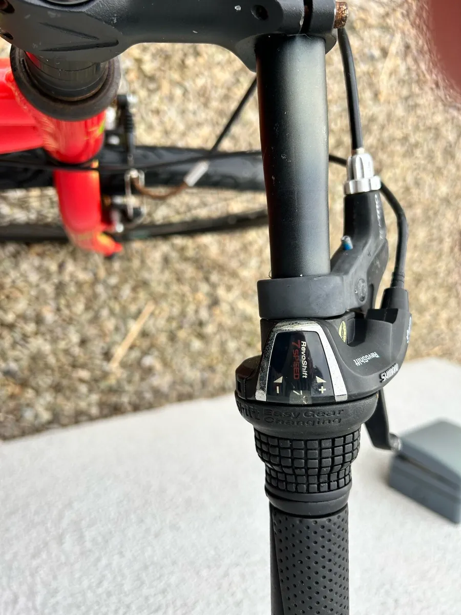 Frog bike 22” - Image 3