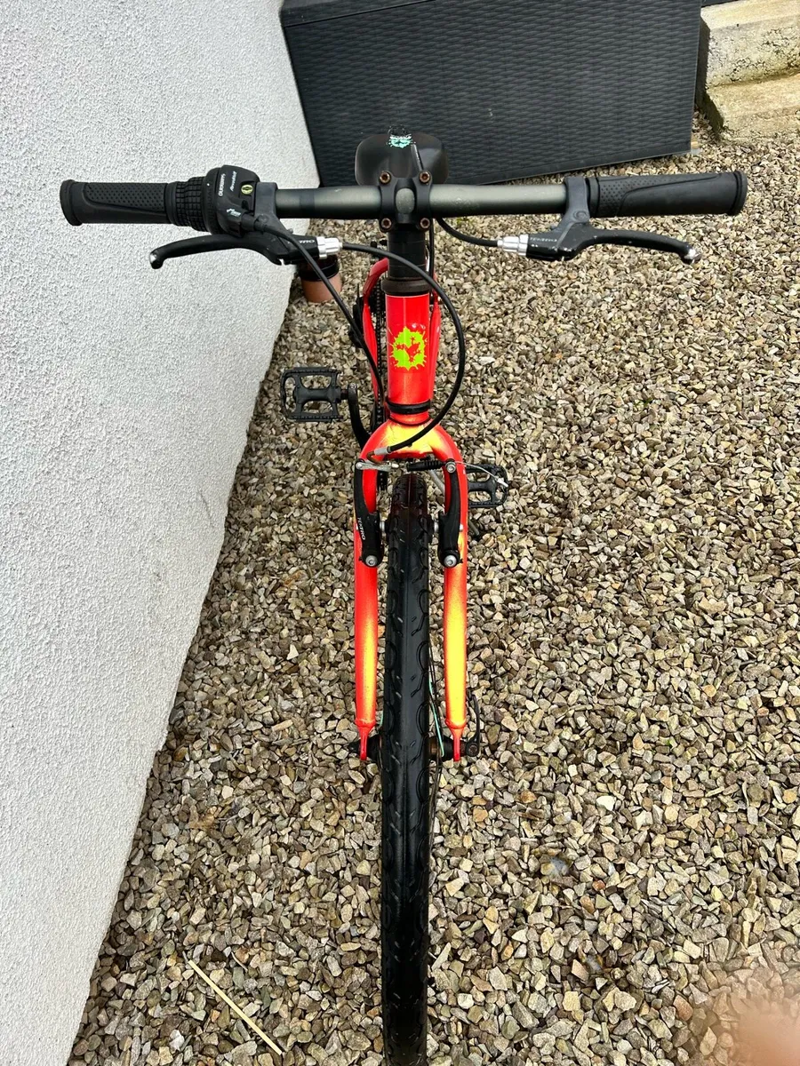 Frog bike 22” - Image 4