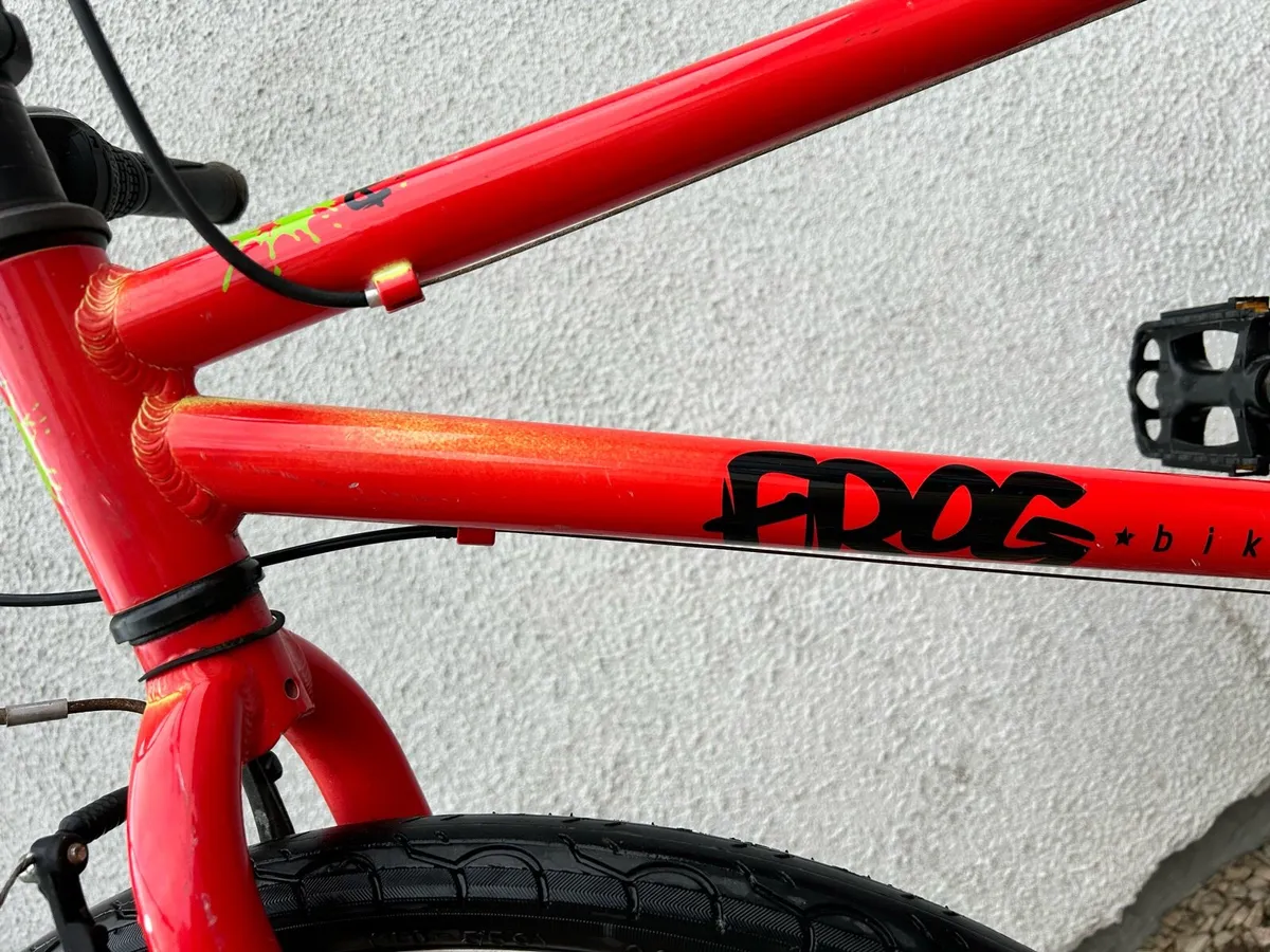 Frog bike 22” - Image 2