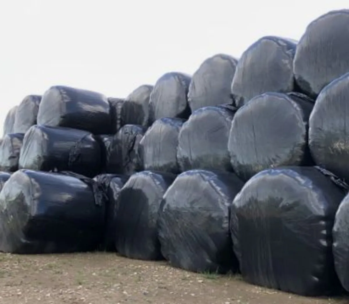 50 Round Bales