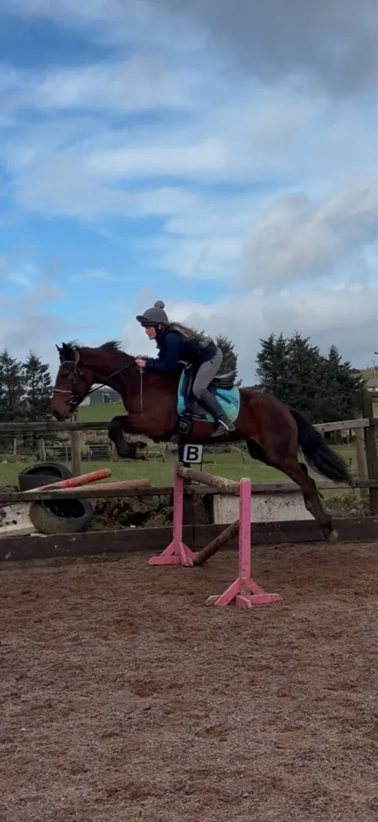 Fun alrounder - Image 1