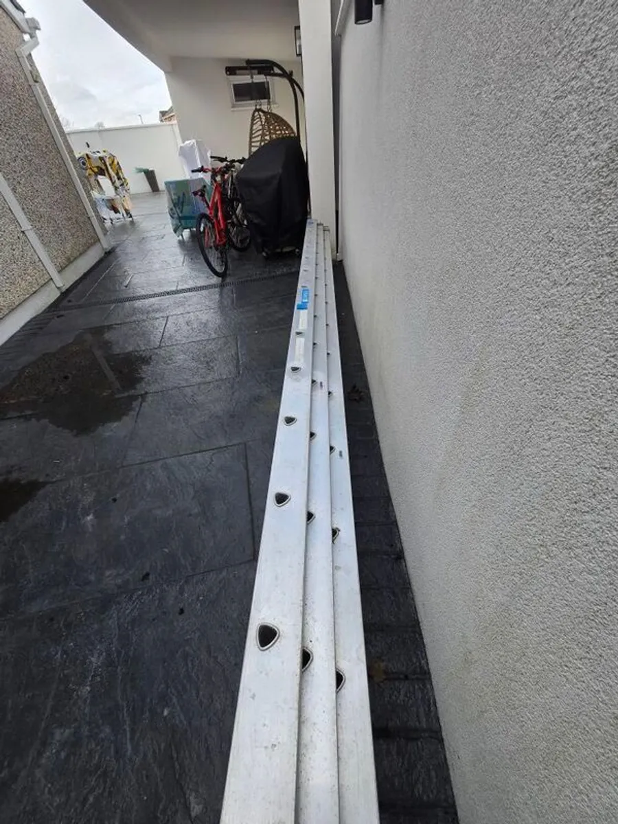 Triple ladder - Image 1