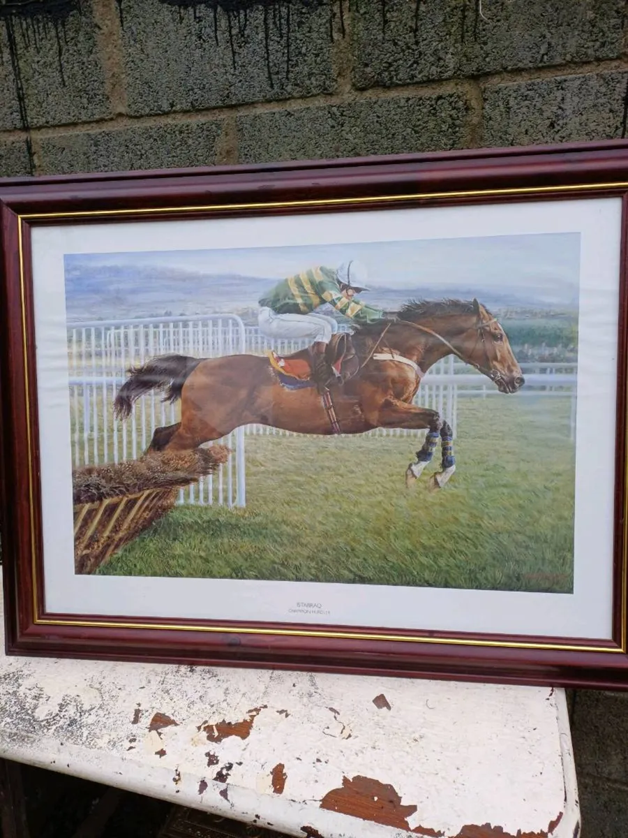 Vintage Race Horse ISTABRAQ Picture - Image 3