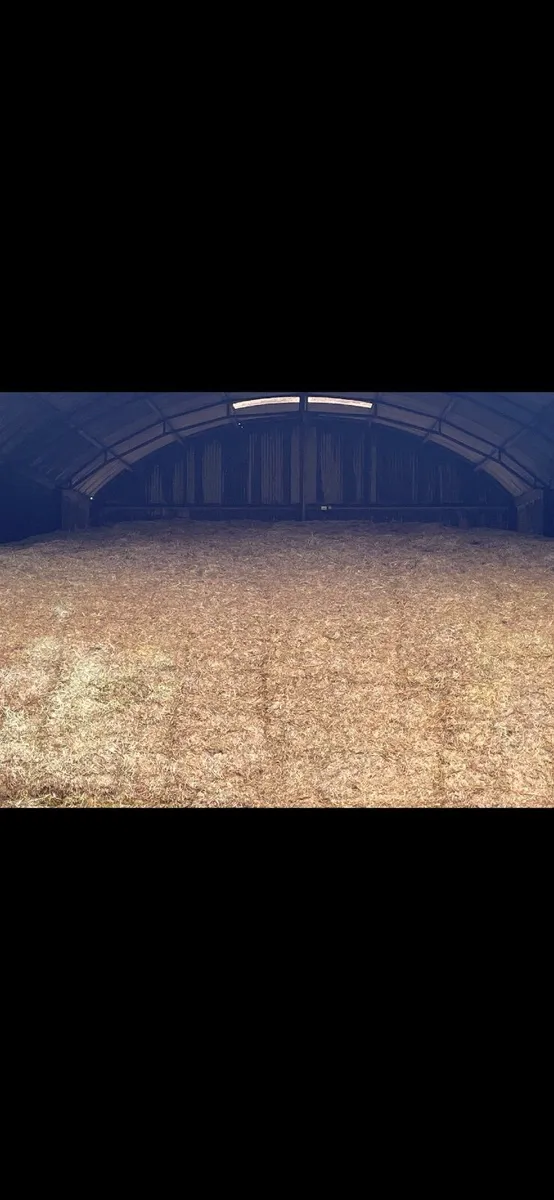 1st Cut Silage - Image 1