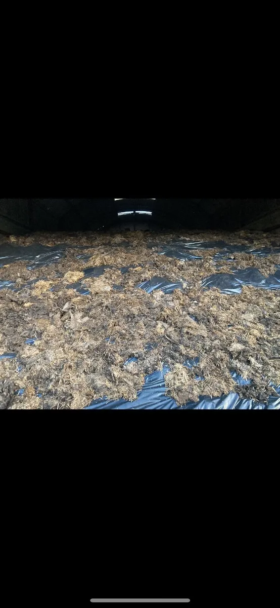 1st Cut Silage - Image 2
