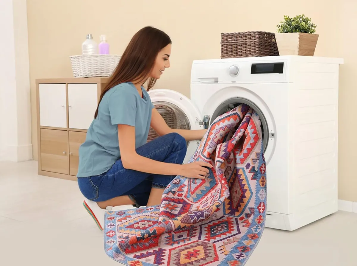 Washable Area Rugs for Living Room Traditional - Image 3