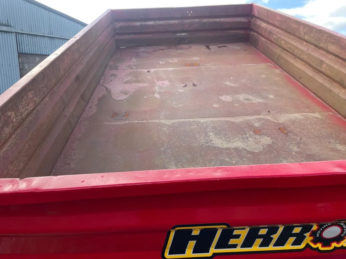 Herron Tipping trailer - Image 4