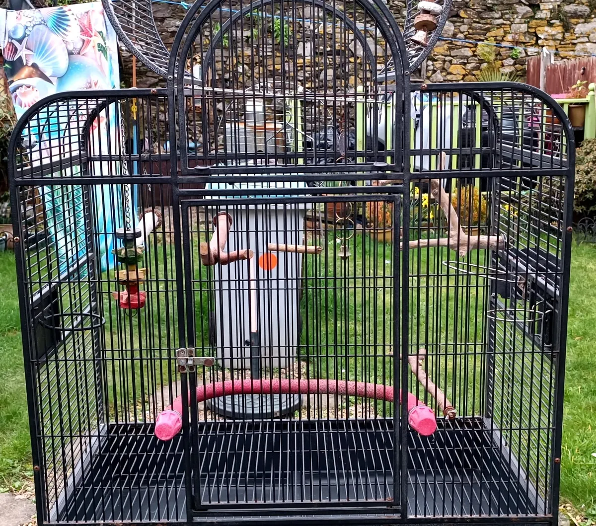 Large parrot cage - Image 1
