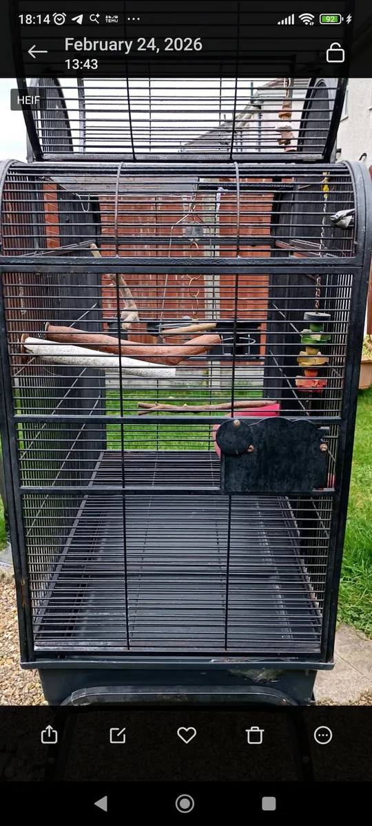 Large parrot cage - Image 3