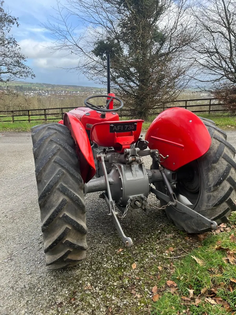 Massey Ferguson 35 1958 - Image 4