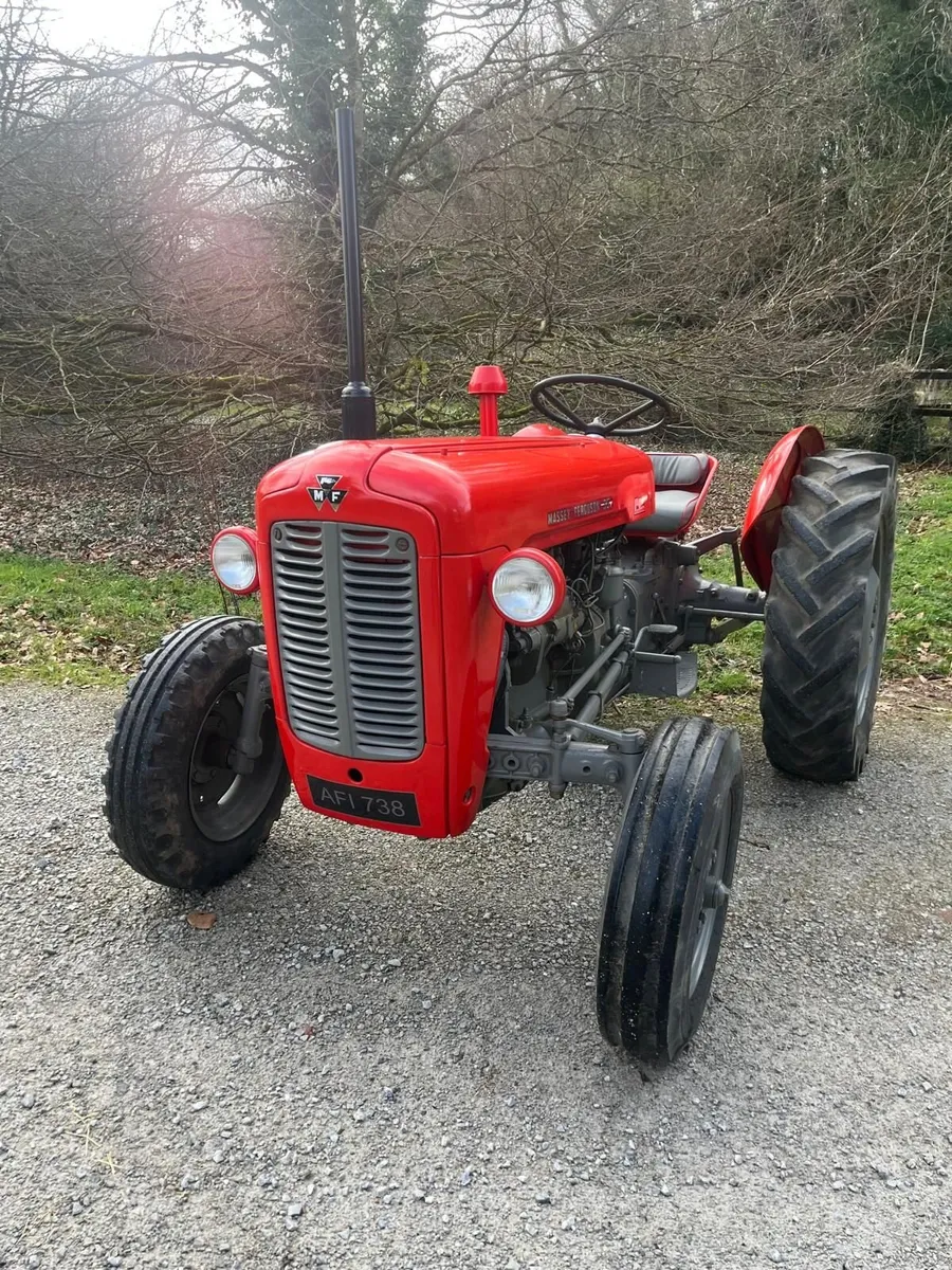 Massey Ferguson 35 1958 - Image 2