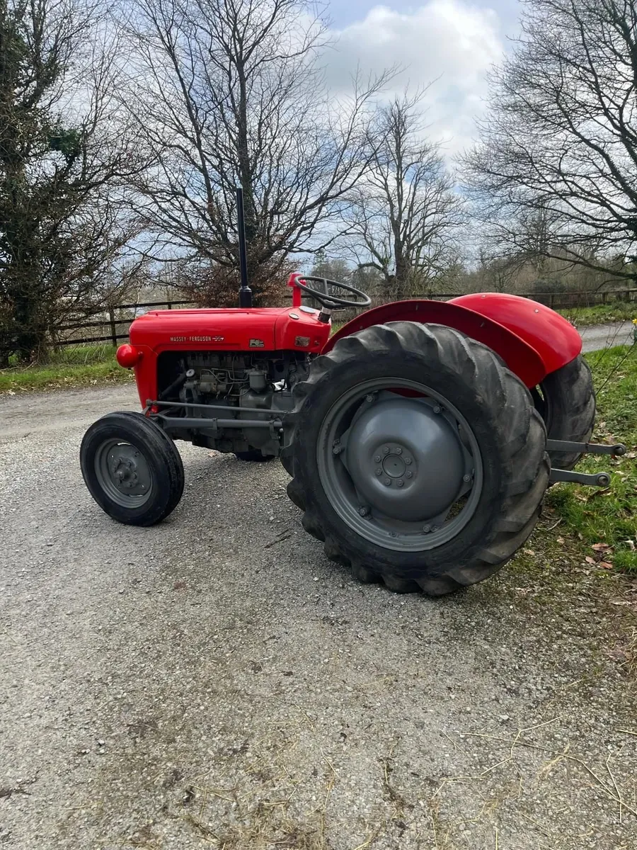 Massey Ferguson 35 1958 - Image 3
