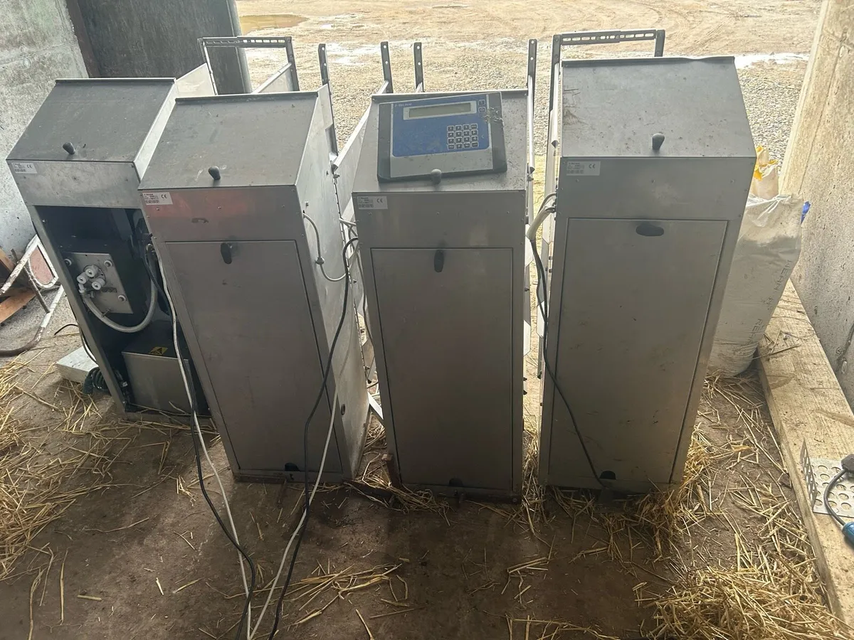 Automatic calf feeder whole milk or milk replacer - Image 3