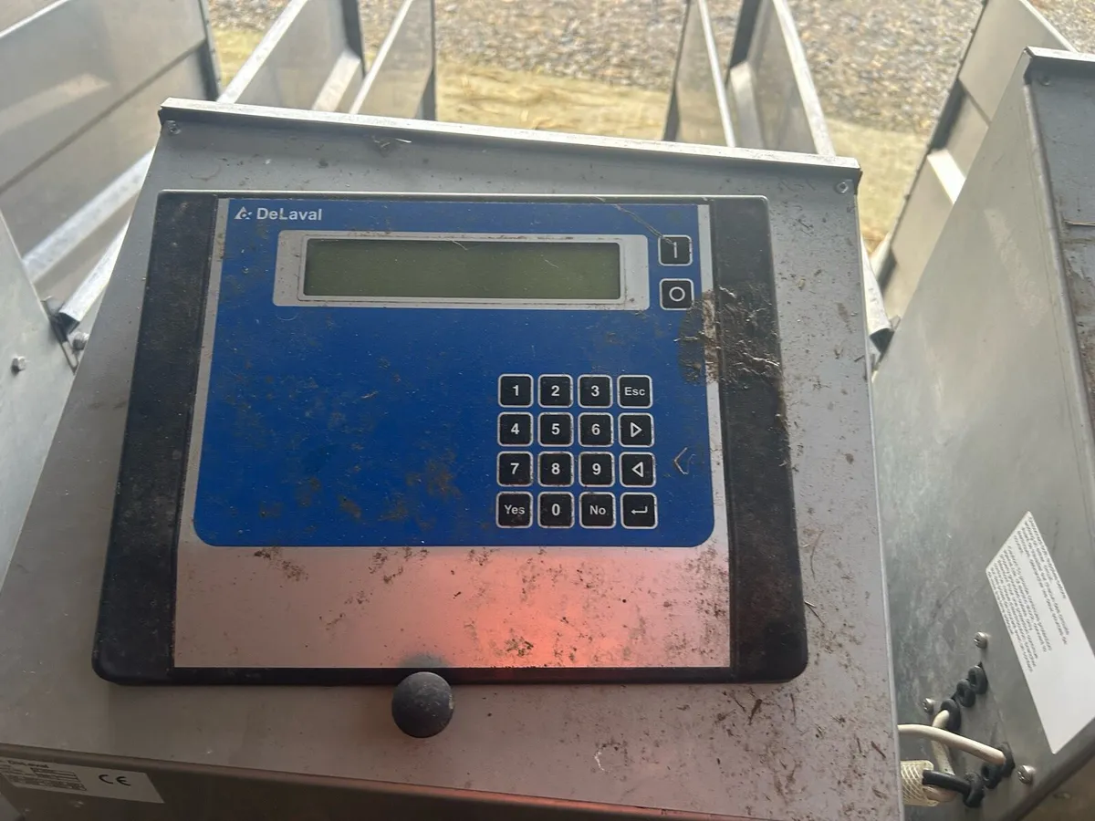 Automatic calf feeder whole milk or milk replacer - Image 4