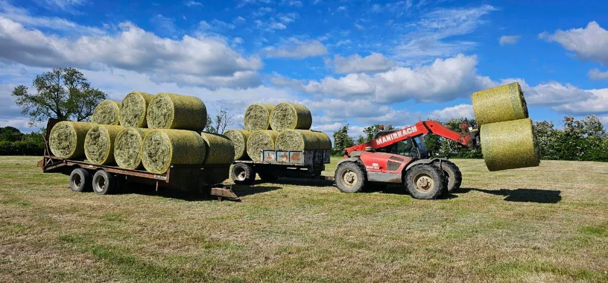 Silage bales and Hay - Image 3