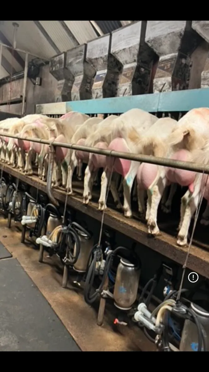 Female kids - Image 1