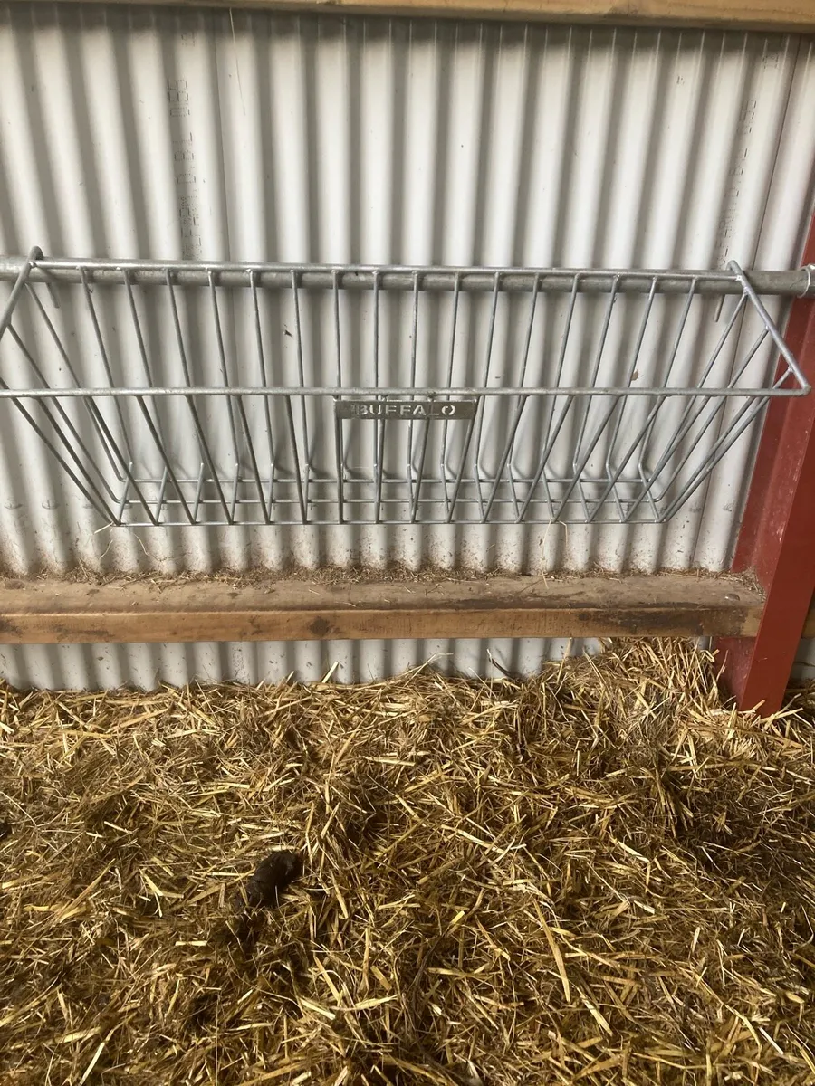 Buffalo Calf Hay rack/sheep trough/ring feeder - Image 1