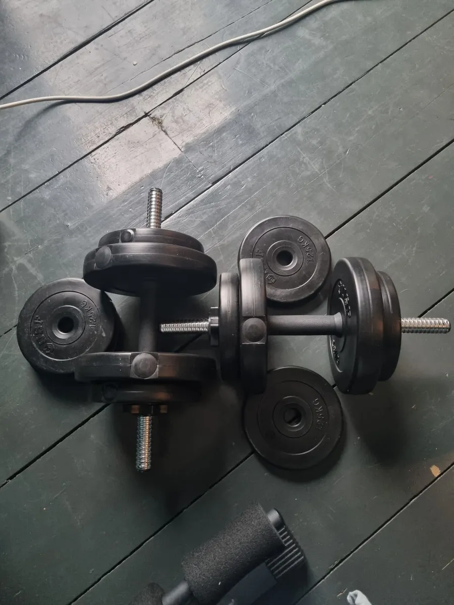 Bench and Weights - Image 4