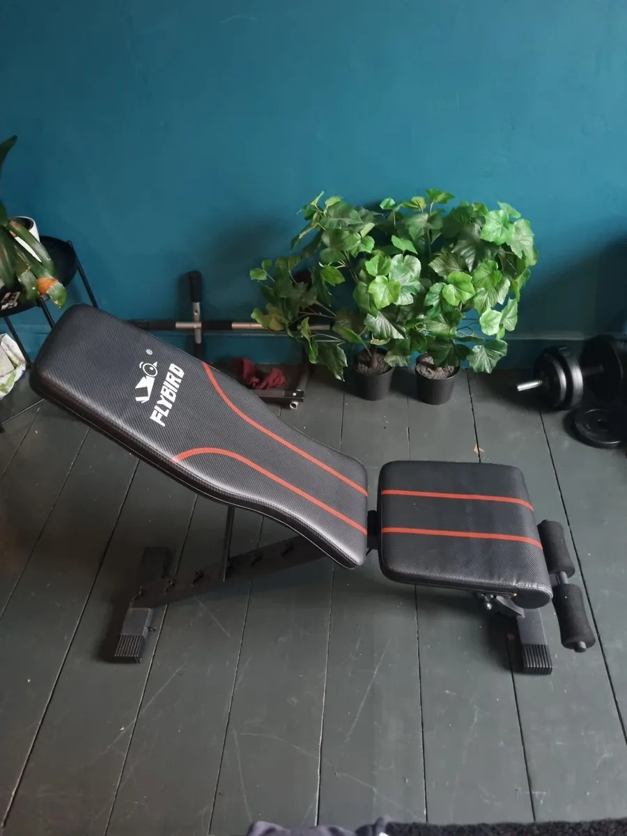 Bench and Weights - Image 2