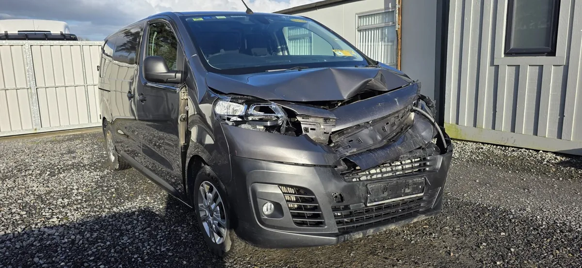 231 FIAT SCUDO - Image 3