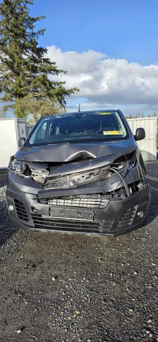 231 FIAT SCUDO - Image 2