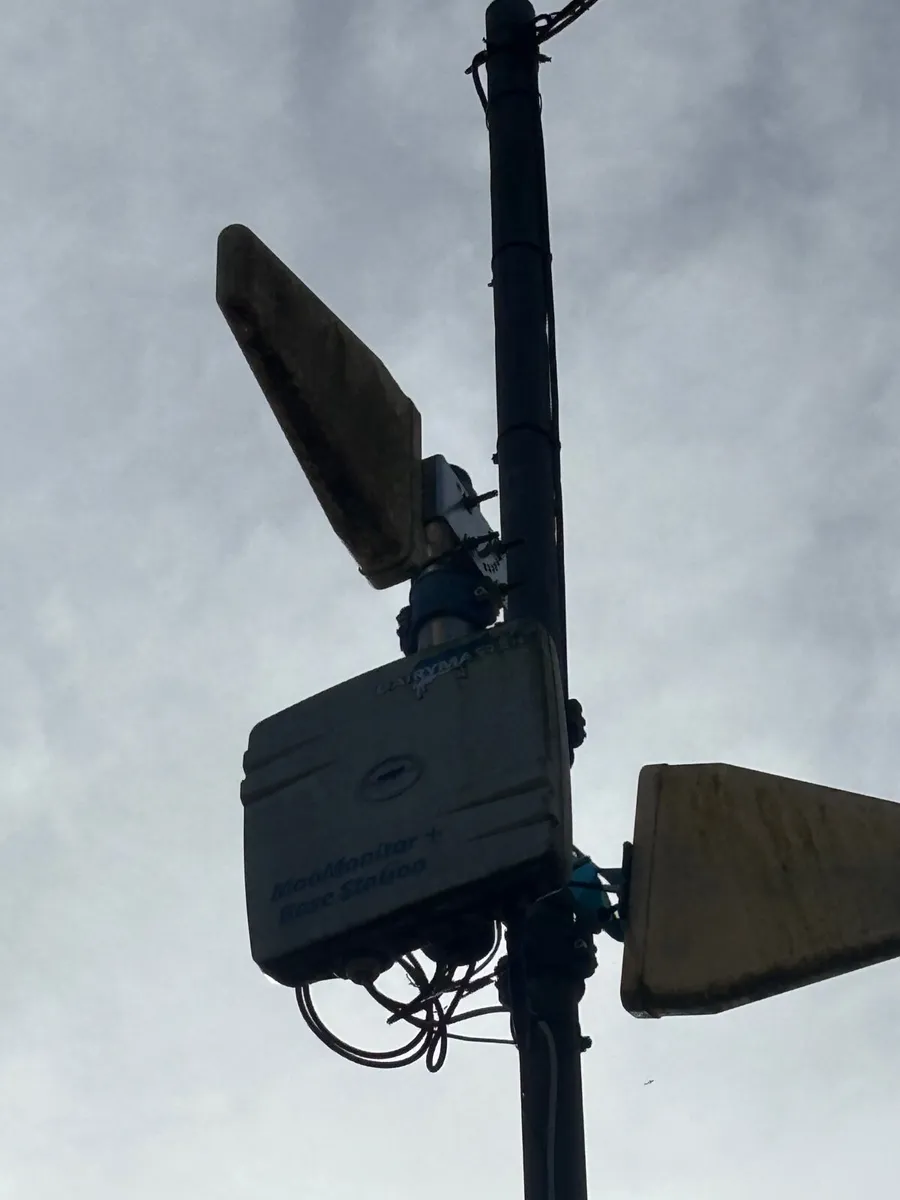 170 Dairymaster  moo monitor collars for sale - Image 1