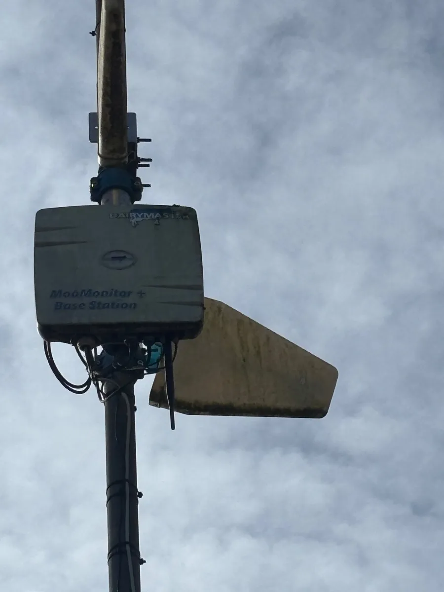 170 Dairymaster  moo monitor collars for sale - Image 2