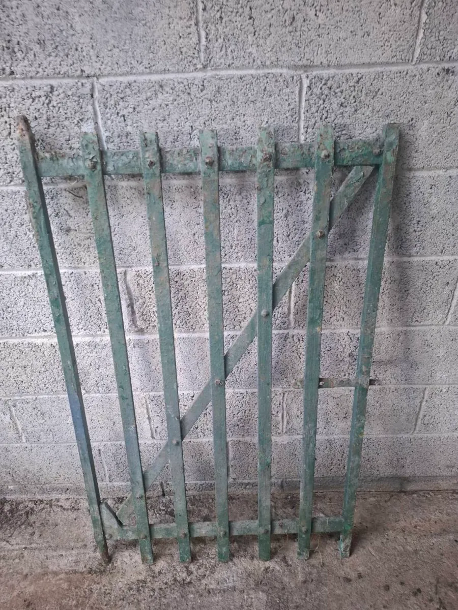 Wrought iron gate - Image 1