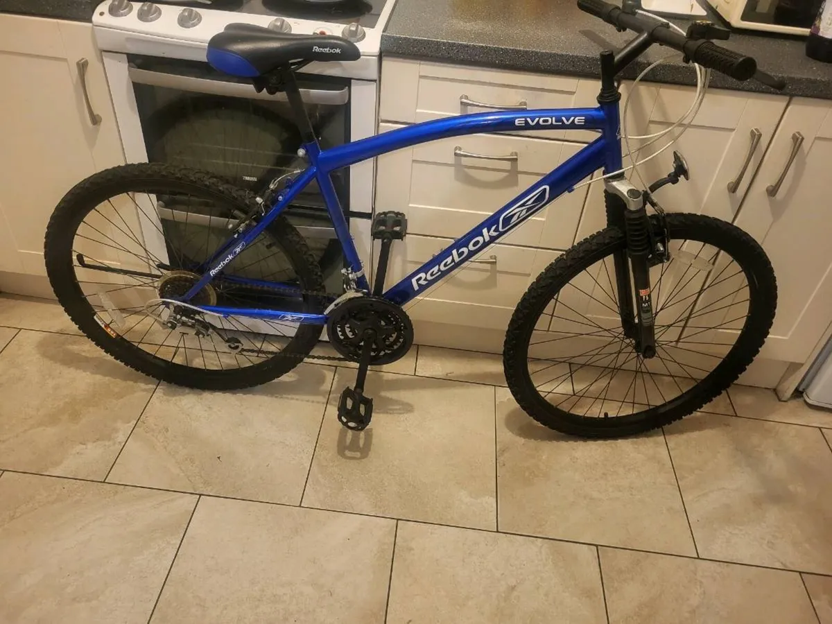 Mens mountain bike - Image 1