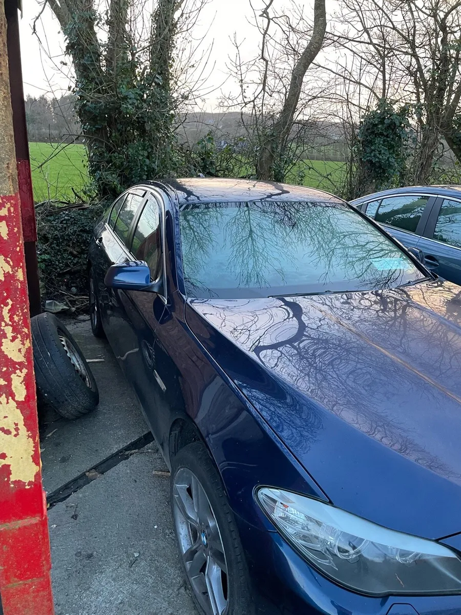 12 bmw 520d efficiency dynamic - Image 2