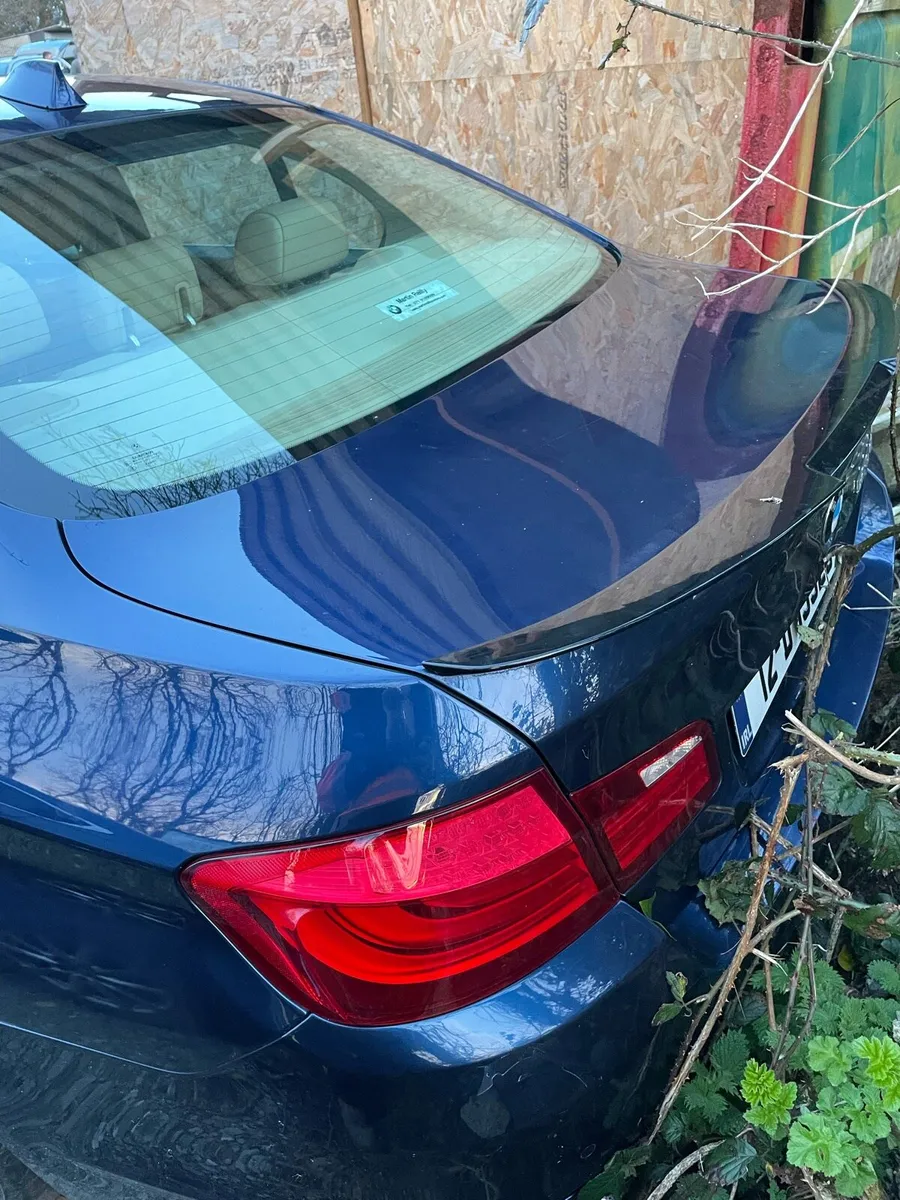 12 bmw 520d efficiency dynamic - Image 3