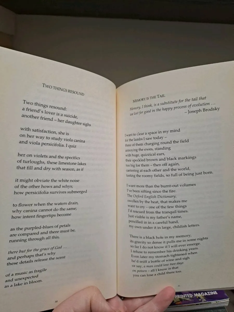 Preparing for Spring Nell Regan Signed Copy - Image 3