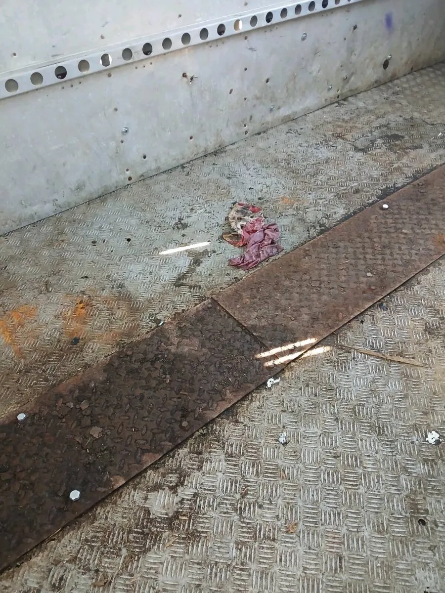 Ifor Williams Trailer - Image 4