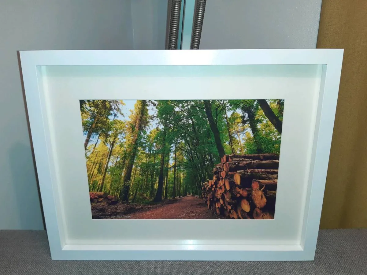 Rostellan Woods - Image 1