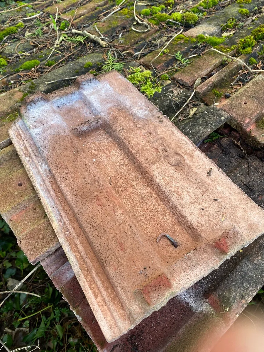 Roof Tiles - Image 2