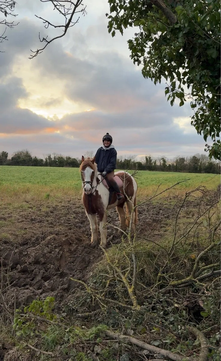 8 year old 16 hand skewbald gelding, all rounder - Image 4