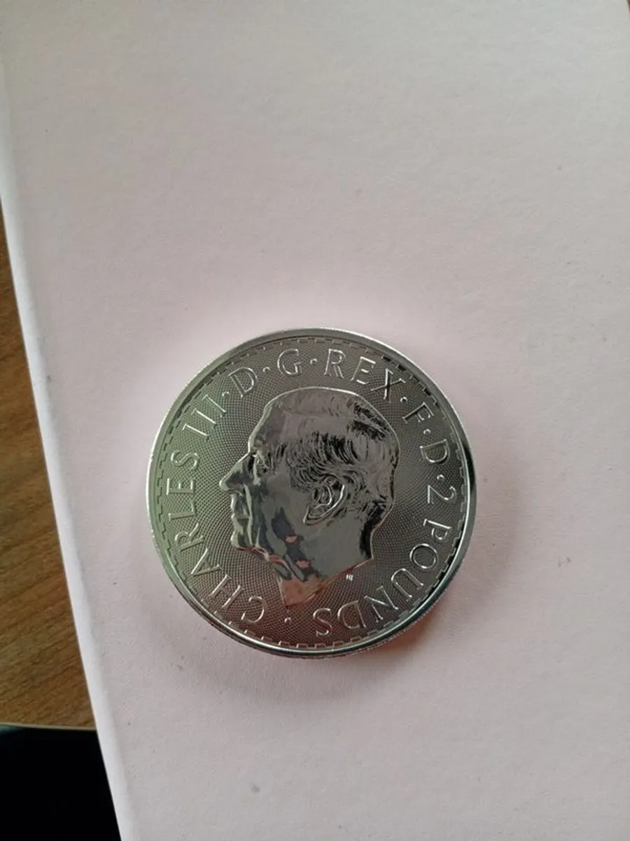 Silver Coins 1 oz - Image 4