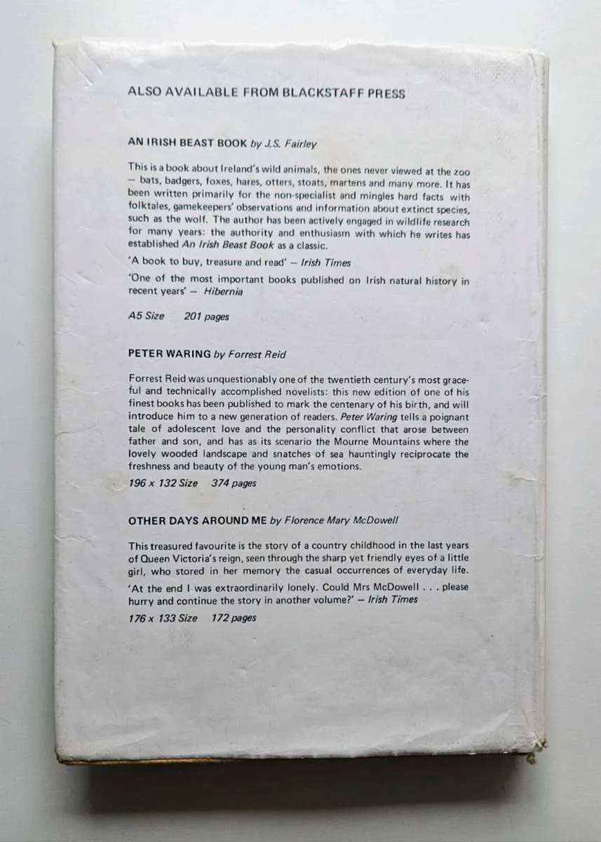 Now You're Talking - Irish Folklore Book - Image 3