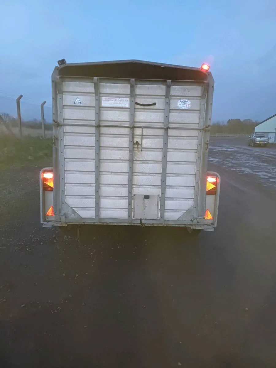 HUDSON 12FT LIVESTICK TRAILER (DECKS) - Image 2