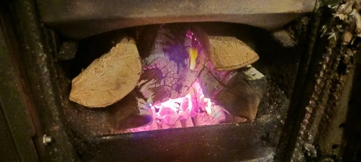 Firewood hardwood bags - Image 3