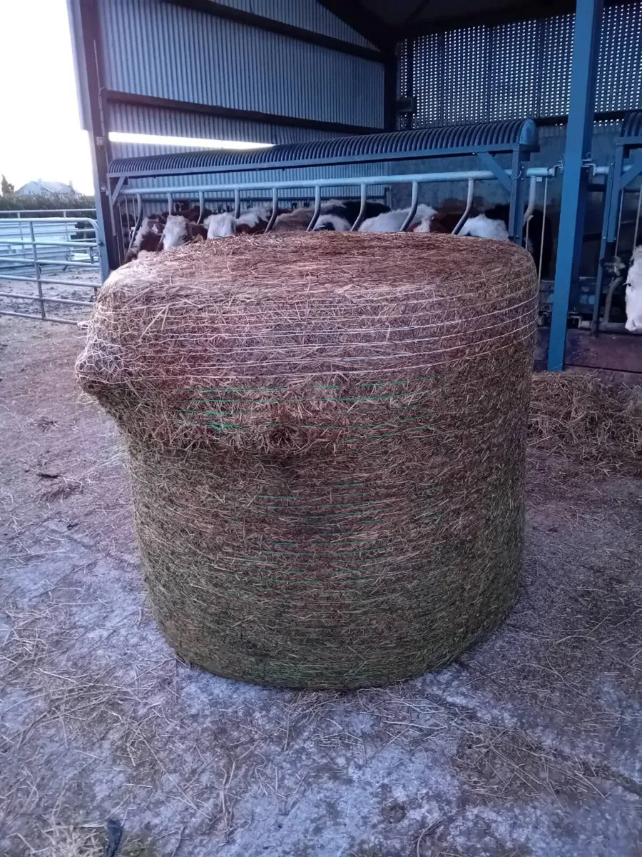 Silage for sale - Image 3