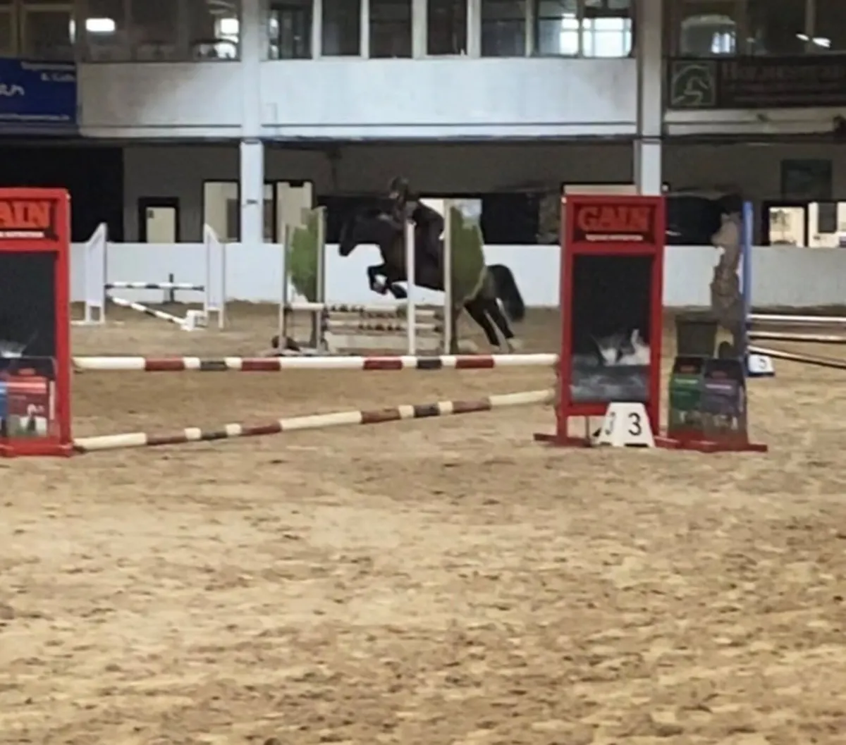 128 pony, great under 10 Sji pony, all rounder. - Image 3