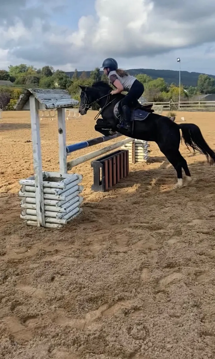 128 pony, great under 10 Sji pony, all rounder. - Image 4