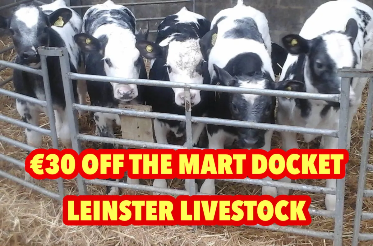 Calves every Monday €30 of the mart docket - Image 1