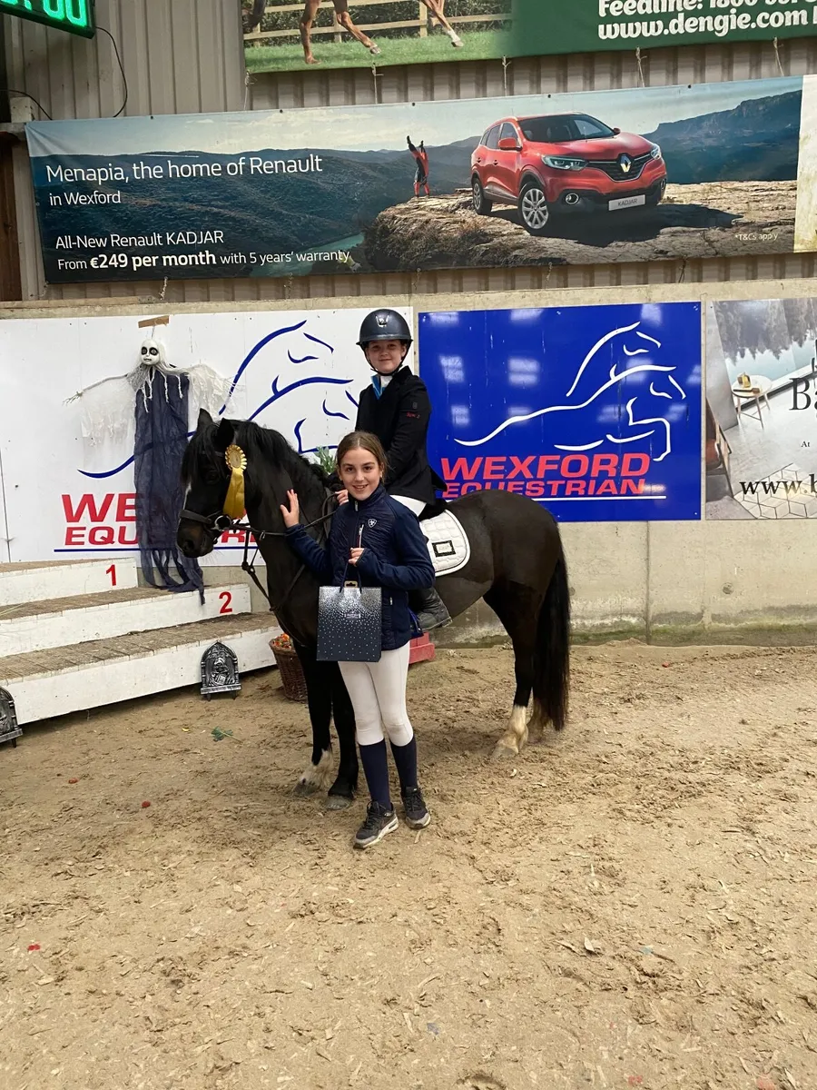 128 pony, great under 10 Sji pony, all rounder. - Image 1